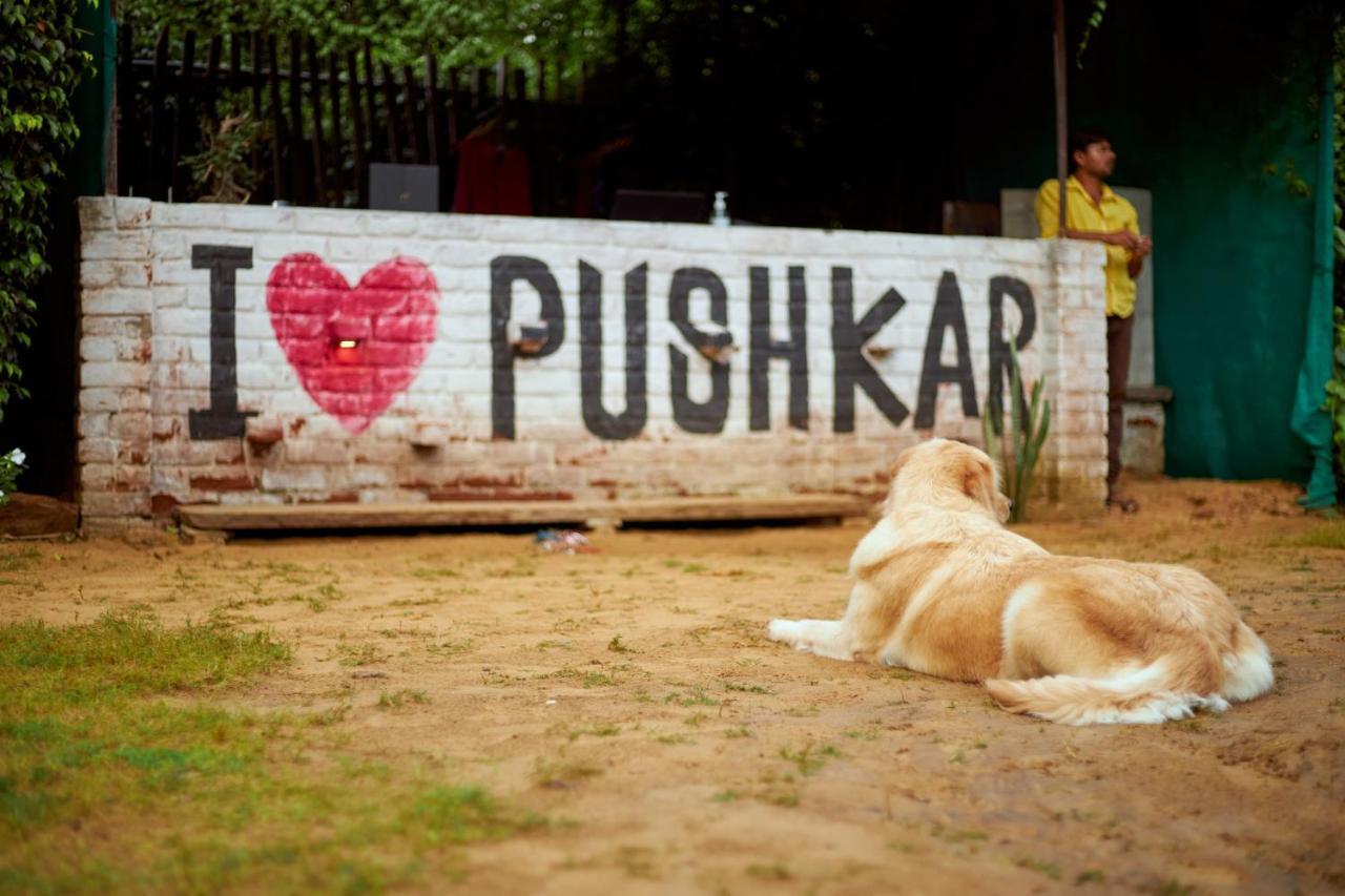 The Hostel Air Pushkar Exterior foto